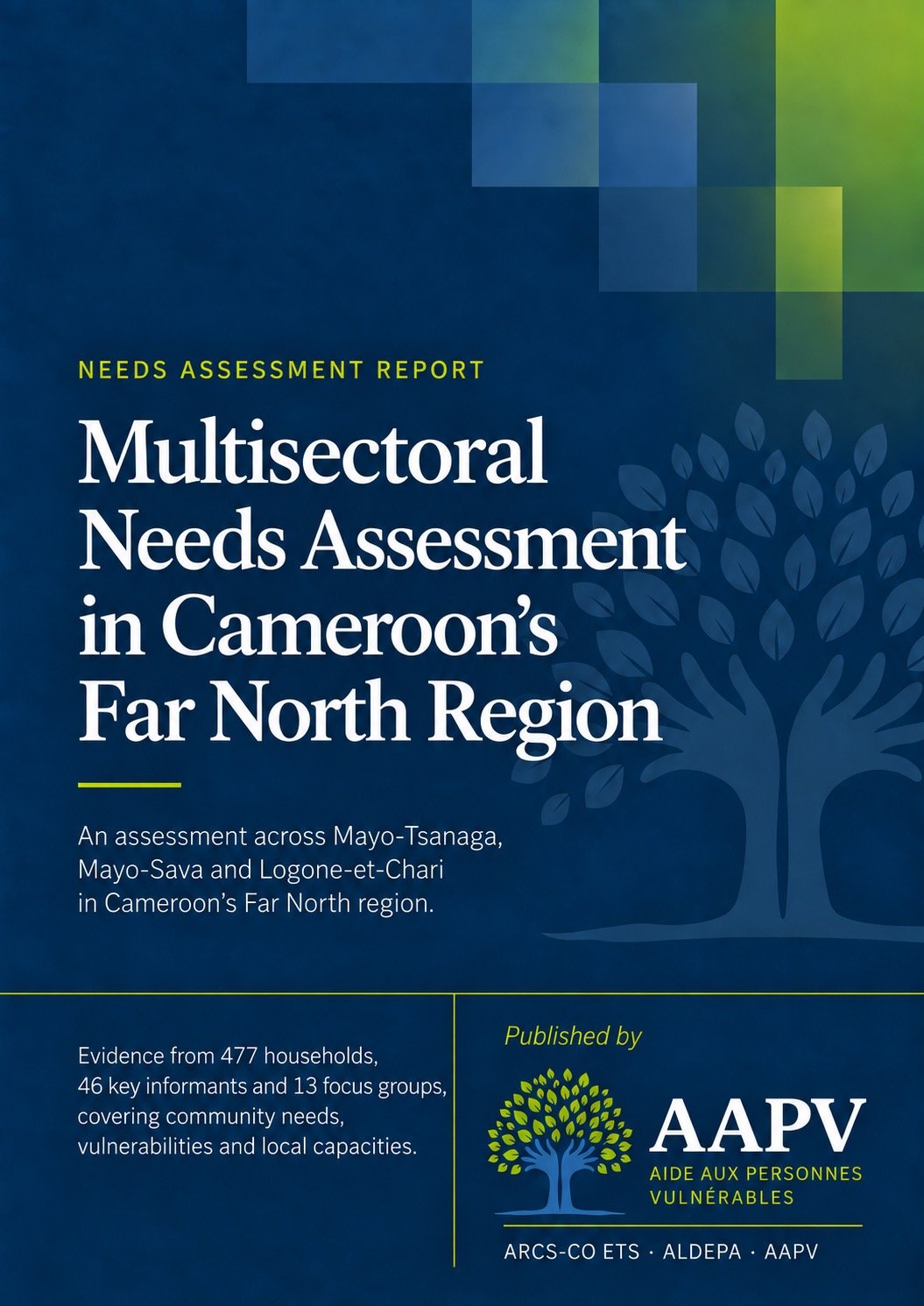 AAPV report cover: Multisectoral Needs Assessment in Cameroon’s Far North Region